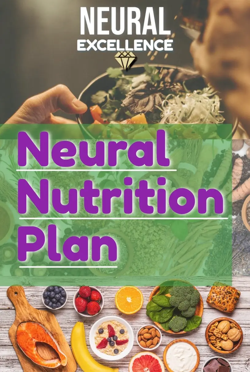 Neural Excellence nutrition plan